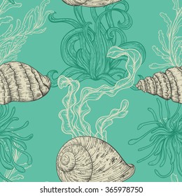 Seamless pattern with collection of sea shells, marine plants and seaweed. Vintage set of hand drawn marine flora. Vector illustration in line art style.Design for summer beach, decorations.