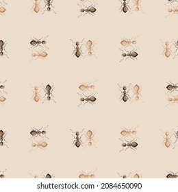 Colonia de hormigas sin piel sobre fondo beige. Plantilla de insectos vectoriales en estilo plano para cualquier propósito. Textura de animales modernos para tela, papel envolvente, papel tapiz, tejido, ilustración.