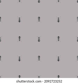 Seamless pattern colony ants on dark gray background. Vector insects template in flat style for any purpose. Modern animals texture for fabric, wrapping paper, wallpaper, tissue, illustration.