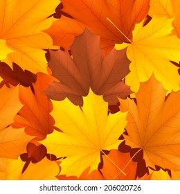 Seamless pattern of color autumn leaves.