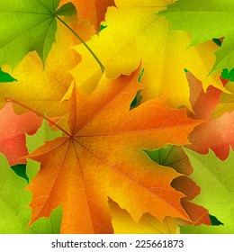 Seamless pattern of color autumn maple leaves