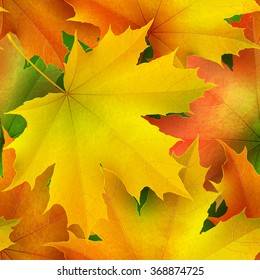 Seamless pattern of color autumn maple leaves 