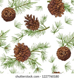 Seamless pattern with color fir tree branches with pine cone isolated on white background Good idea for vintage Merry christmas card new year conifer tree decorative design Vector illustration.
