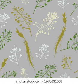 Seamless pattern with color hand drawn silhouette of Shepherds Purse, lives and flowers isolated on gray background. Retro vintage graphic design. Botanical drawing, Vector illustration.