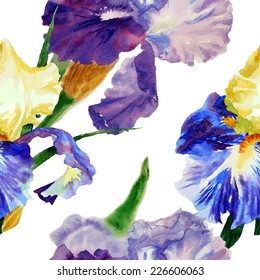 Seamless pattern  with color irises. Vector illustration
