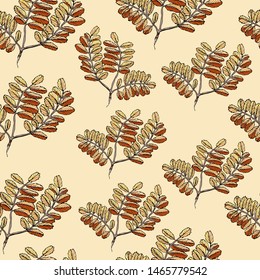 Seamless pattern with  color leaves of rowan tree. Hand drawn ink sketch isolated on light yellow background. Vector illustration