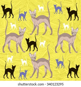 Seamless pattern with color Sphynx cats on yellow geometric background.Vector.