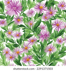 Seamless pattern color violet aster flowers watercolor botanic art style illustration