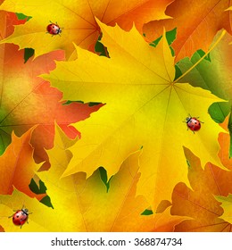Seamless pattern of colored autumn maple leaves and ladybirds