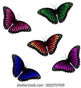 Seamless pattern with colored butterflies on a white background