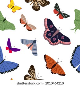 Seamless pattern with colored butterflies. Vector illustration. White background.