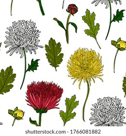 seamless pattern with colored chrysanthemums, asters  flowers . Floral background with  chrysanthemums and 
aster. Hand drawing. Design for packaging, fabric, wrappers.