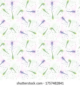 Seamless pattern with colored dragonflies animal insect world flat vector illustration on white background