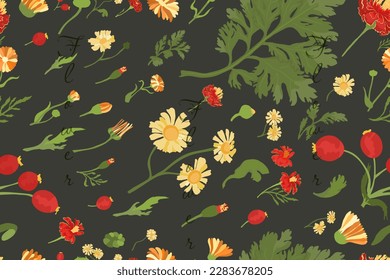 A seamless pattern with colored flower parts and words which tilted in one direction and isolated on the black background. Hand-drawn parts of the marigold, calendula, chamomile, and rose fruits.