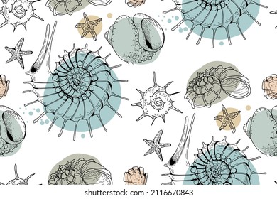 Seamless pattern of colored and graphics seashells. Set of seashells for background and design. Set of colorful hand drawn seashells for web design. Set of isolated sea shells on a white background. 