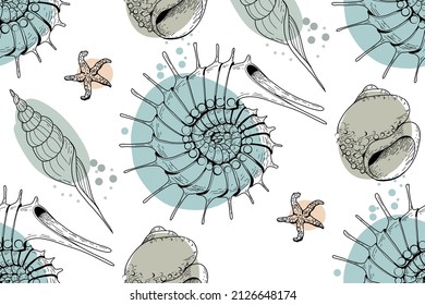 Seamless pattern of colored and graphics seashells. Set of seashells for background and design. Set of colorful hand drawn seashells for web design. Set of isolated sea shells on a white background. 