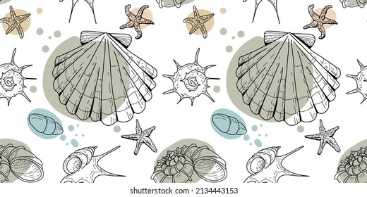 Seamless pattern of colored and graphics seashells. Set of seashells for background and design. Set of colorful hand drawn seashells for web design. Set of isolated sea shells on a white background. 