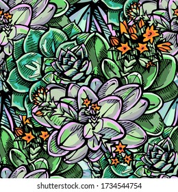 Seamless pattern with colored hand drawn succulents on white background. Suitable for packaging, wrappers, surface and fabric design