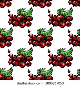 Seamless pattern with colored hand drawn red ribes, red current on white background. Suitable for packaging, wrappers, surface and fabric design