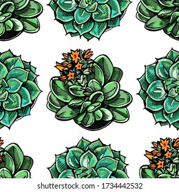 Seamless pattern with colored handdrawn succulents on white background. Suitable for packaging, wrappers, surface and fabric design