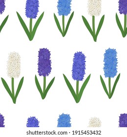 Seamless pattern colored hyacinths flowers. Botanical colourful vector illustration