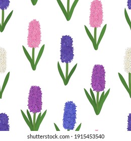 Flores de jacintos de colores sin foco. Ilustración del vector colorido botánico