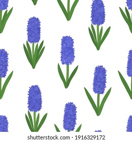 Seamless pattern colored hyacinths flowers. Botanical colourful vector illustration