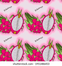 Patrón sin foco con las imágenes de color de pitahaya en línea sobre el fondo verde.
Fondo para su diseño. Estilo Doodle