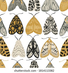 Seamless pattern colored nocturnal butterflies. Vector illustration