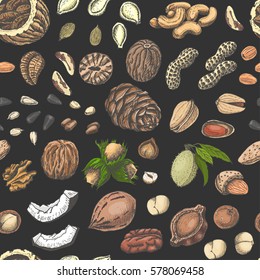Seamless pattern with colored nuts and seeds. Vector illustration for your design