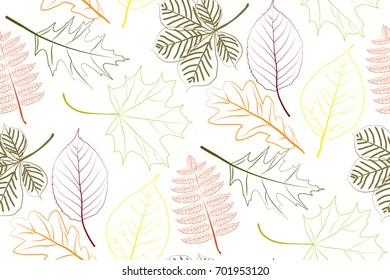 Seamless pattern with colored outline leaves. Autumn leaves. Vector illustration