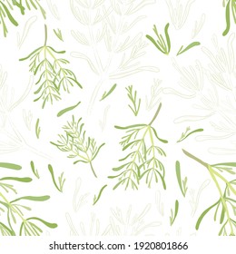 Seamless Pattern with Colored and Outlined Rosemary Leaves and Twigs. Rosemary Branches and Leaves Isolated on White. Ideal for Magazine, Recipe book, Poster, Card, Menu cover, any Advertising.