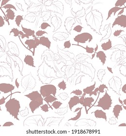 Seamless Pattern with Colored and Outlined Shiso Leaves and Twigs. Shisol branches and Leaves Isolated on White Backdrop. Ideal for Magazine, Recipe book, Poster, Card, Menu cover, any Advertising.