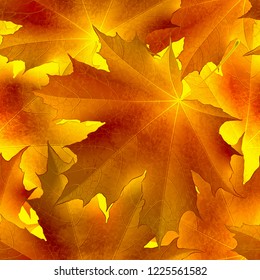 Seamless pattern of colored red orange autumn maple leaves, seamless vector background
