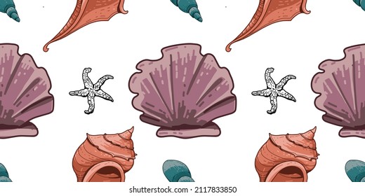 Seamless pattern of colored seashells. Set of seashells for background and design. Set of colorful hand drawn seashells for web design. Set of isolated sea shells on a white background. 