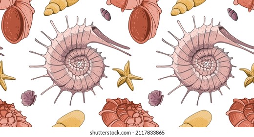 Seamless pattern of colored seashells. Set of seashells for background and design. Set of colorful hand drawn seashells for web design. Set of isolated sea shells on a white background. 