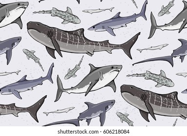 seamless pattern with colored sharks on colored background. tiger, blue, fox, leopard sharks	