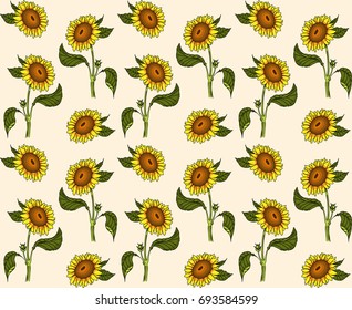 Seamless pattern with colored sunflowers on a light yellow background. Vector