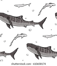 seamless pattern with colored tiger sharks on white  background