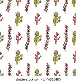 Seamless pattern. Colorful algae on a white background. Vector.