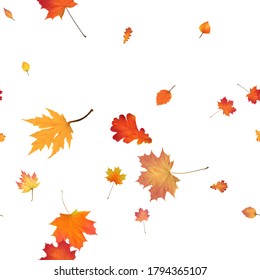 Seamless Pattern with Colorful Autumn leaves