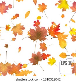 Seamless Pattern with Colorful Autumn leaves