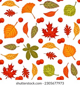 Seamless pattern of colorful autumn leaves vector illustration on white background