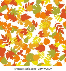 Seamless pattern with colorful autumn leaves on white background. Cute background. Vector illustration