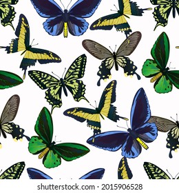 Seamless pattern with colorful big tropical butterflies, swallowtail and birdwing, papilio and ornitoptera papilionidae.