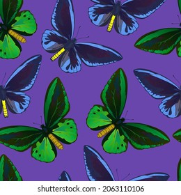 Nahtloses Muster mit bunten, großen tropischen Schmetterlingen, Schwanz- und Vogelschwanz, Papilio und Onitoptera papilionidae.