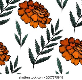 Patrón sin foco con un dibujo botánico colorido de flores de caléndula y rama con hojas. Vector textil con dibujo natural floral. Tejido con imagen de lápiz esquemático de planta vegetal y flor