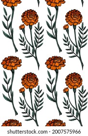 Seamless pattern with colorful botanical sketch of marigold flowers with shading. Vector textile with color floral natural drawing. Fabric with outline pencil image of herbal plant and flowerhead