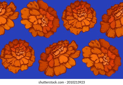 Seamless pattern with colorful botanical sketch of marigold flowers on blue background. Vector textile with floral natural drawing. Fabric with pencil rough draft of herbal flowerhead with hatching