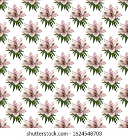 Seamless pattern with colorful bouquets of lilies and buds. Endless texture. Vector background with lilies and floral elements for your design.